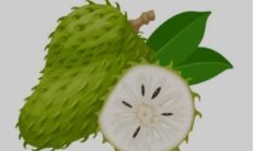 MANFAAT BUAH SIRSAK DAN DAUN NYA BISA DI JADIKAN OBAT HERBAL.