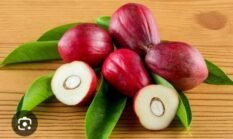 Manfaat Utama Buah Mahkota Dewa