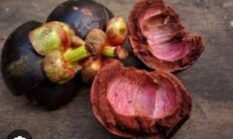 Buah manggis dan kulitnya kaya antioksidan terutama xanthones yang bermanfaat