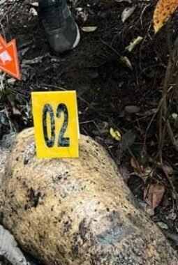 Tim gabungan menduga kuat kematian gajah dipastikan akibat tembakan senjata api yang mengenai bagian tengkorak atau batok kepala