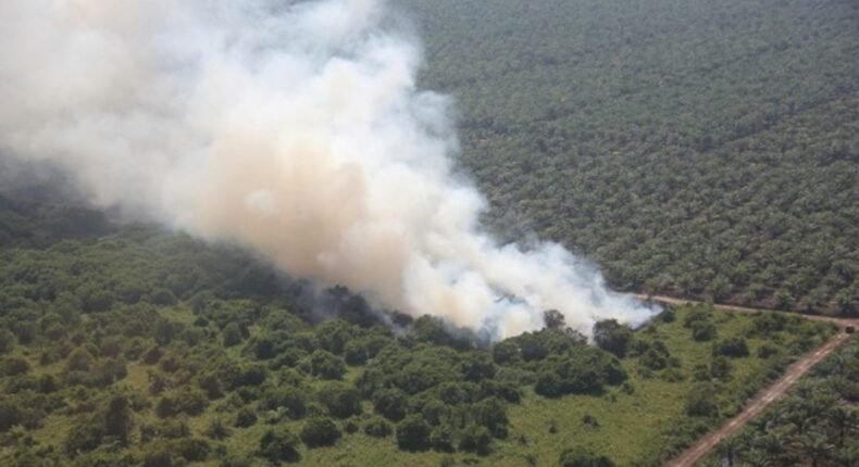 foto slider headline