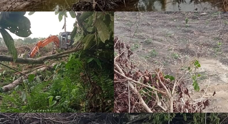 foto slider headline