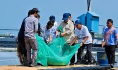 Presiden Prabowo Panen Raya Udang di BUBK Kebumen, Perkuat Budi Daya Modern dan Ketahanan Pangan Nasional