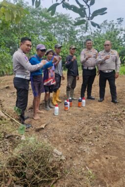 SAT LANTAS POLRES KUNINGAN MEMBERIKAN BANTUAN BERUPA CAIRAN PEMBASMI RUMPUT KEPADA KELOMPOK TANI DESA CIBULAN KECAMATAN CIDAHU DALAM RANGKA PENANAMAN JAGUNG SEBAGAI IMPLEMENTASI KETAHANAN PANGAN NASIONAL