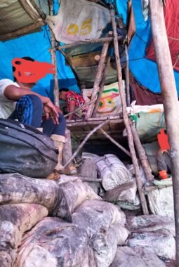 Manajemen PT SMM Diduga Kuat Kendalikan Tambang Emas Ilegal di Hutabargot