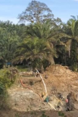 SKANDAL PETI MADINA, APH DIDESAK USUT TUNTAS INISIAL MRN NASUTION PELAKU UTAMA PETI DAN PENADAH EMAS ILEGAL Di BATANG LOBUNG KC, LINGGA BAYU 