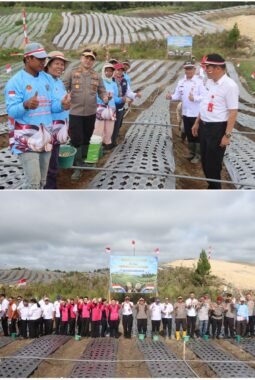 Menuju Swasembada Pangan, Polres Humbahas Laksanakan Penanaman Bawang Putih Serentak.