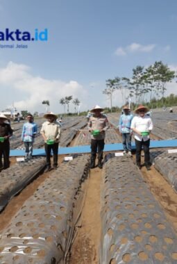 Dukung Swasembada Pangan, Polda Jatim dan Petani Tanam Bawang Putih Serentak*